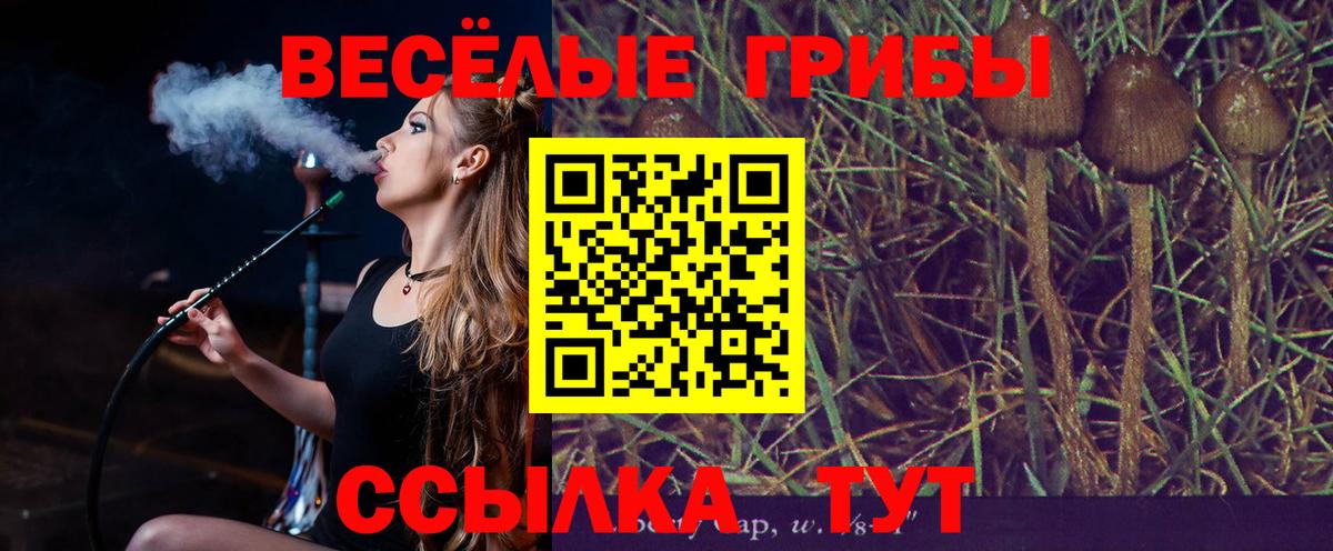Галлюциногенные грибы прущие грибы Вичуга