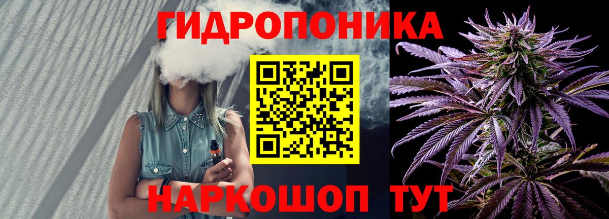 Каннабис сатива  Вход с VPN  Канабис планчик  Вичуга 